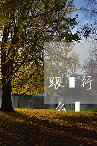 跟銀行協(xié)商還款后銀行不承認怎么辦-跟銀行協(xié)商還款后銀行不承認怎么辦呢