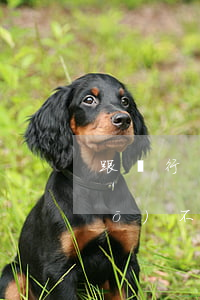 跟銀行協(xié)商還款銀行說(shuō)不符合條件(跟銀行協(xié)調(diào)還款過(guò)程中,未達(dá)成協(xié)議,銀行會(huì)否起訴)