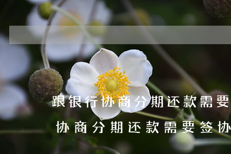 跟银行协商分期还款需要签协议吗-跟银行协商分期还款需要签协议吗合法吗