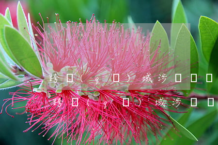 跨區(qū)域涉稅預繳增值稅逾期申報-跨區(qū)域涉稅預繳增值稅逾期申報怎么處理