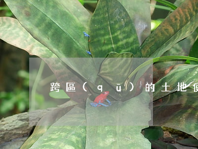 跨區(qū)的土地使用稅征收對象是什么