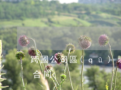 跨國公司區(qū)域總經(jīng)銷合同
