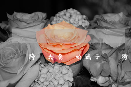 跨國夫妻離婚孩子歸誰(跨國夫妻離婚孩子歸誰)