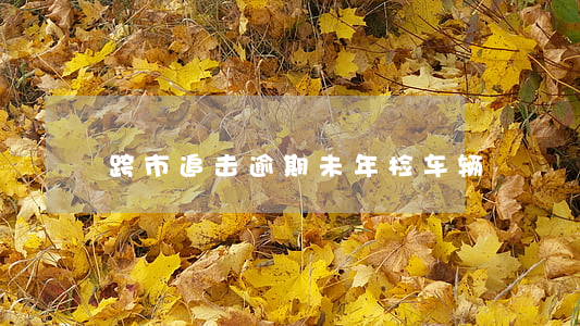 跨市追击逾期未年检车辆