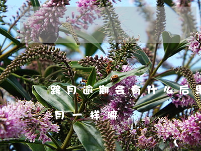 跨月逾期会有什么后果-贷款逾期跨年和跨月一样嘛