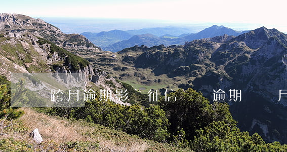 跨月逾期影響征信記錄(逾期幾個月影響征信)