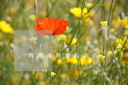 跨期逾期會起訴嗎