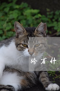 跨省什么意思(什么叫跨省份)