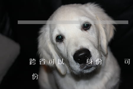 跨省可以補辦身份證嗎(可不可以跨省補辦身份證)