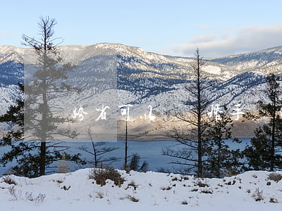 跨省可以辦離婚手續(xù)嗎