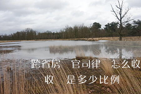 跨省房產官司律師怎么收費二審(房產官司律師收費是多少比例)