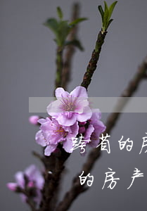 跨省的房产法院可以查到吗(法院能查到外省的房产吗)