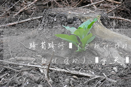 跨省跨行轉(zhuǎn)賬(跨省跨行轉(zhuǎn)賬4天沒收到)
