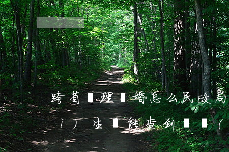 跨省辦理離婚怎么民政局查不到(跨省計(jì)生辦能查到離過(guò)婚嗎)