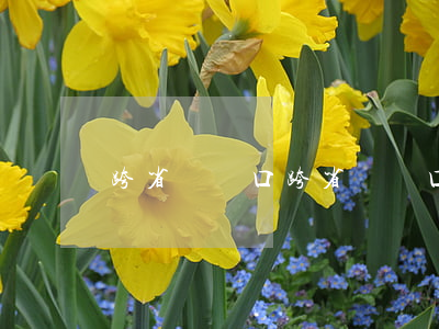 跨省遷戶口(跨省遷戶口流程怎么走)