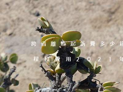 跨省離婚起訴費多少錢2021(起訴離婚流程和費用2021年多少錢)