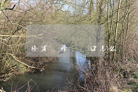 跨省離婚遷戶口怎么辦
