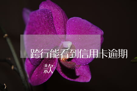 跨行能看到信用卡逾期嗎(信用卡有過逾期能貸款嗎)