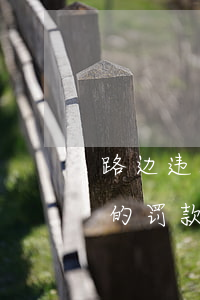 路边违法停车罚款可以用手机交吗(汽车违停的罚款能在手机上交吗)