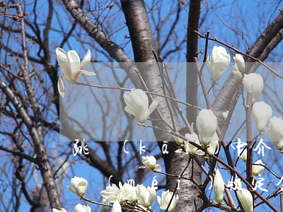跳開(kāi)中介買(mǎi)房 違約被沒(méi)收定金