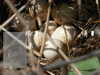 踏實(shí)消費(fèi)逾期還款后果