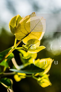 踏實(shí)消費(fèi)還款逾期會(huì)怎樣(踏實(shí)消費(fèi)逾期還款后的罰息)