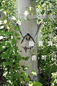 踏實消費逾期會怎樣怎么提前還款-踏實消費可以逾期多久