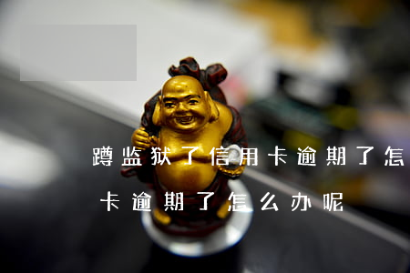 蹲监狱了信用卡逾期了怎么办(蹲监狱了信用卡逾期了怎么办呢)