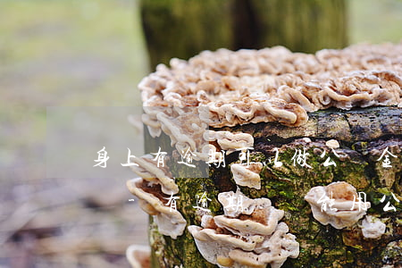 身上有逾期可以做公積金消費(fèi)貸嗎-有逾期記錄能用公積金貸款嗎?