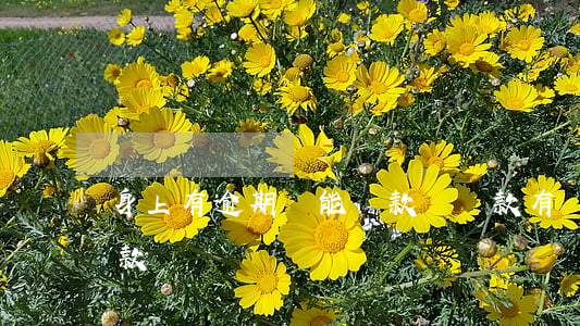 身上有逾期還能貸款嗎(貸款有過逾期還能貸款嗎)