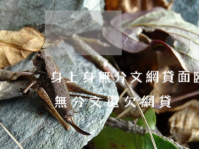 身上身無分文網貸面臨逾期怎么辦-身上身無分文還欠網貸