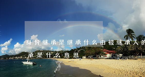 身份继承是继承什么(由被继承人的继承人继承是什么意思)