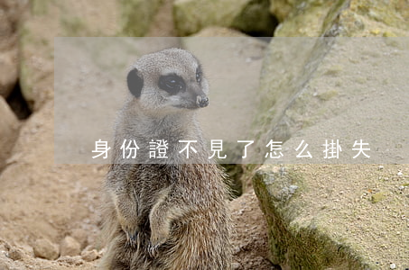 身份證不見了怎么掛失