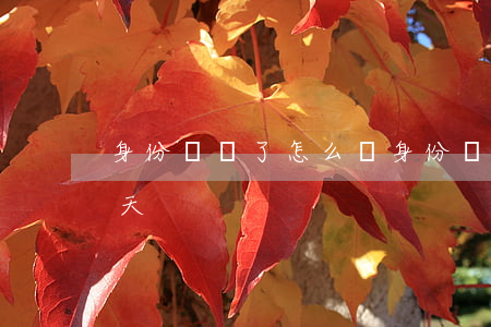 身份證丟了怎么辦(身份證丟了怎么辦最快幾天)