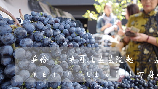 身份證丟失可以去法院起訴嗎(法院起訴沒(méi)對(duì)方身份證能起訴么)