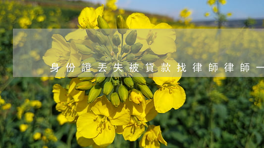 身份證丟失被貸款找律師律師一般怎么收費