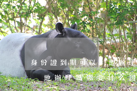 身份證到期可以異地辦理嗎(身份證到期可以異地辦理嗎?需要什么證件?)