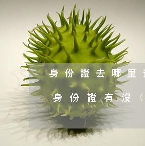 身份證去哪里查網(wǎng)貸欠多少錢(身份證有沒(méi)有網(wǎng)貸怎么查)