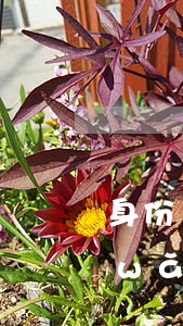 身份證可以借的小額網(wǎng)貸(網(wǎng)貸用身份證號碼就能借出來嗎)