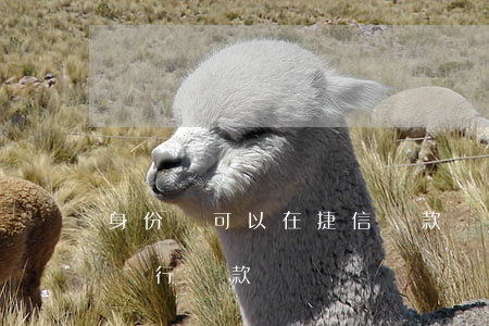 身份證可以在捷信貸款嗎(有捷信貸款還能在銀行貸款嗎)