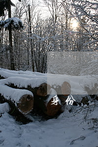 身份證可以掛失嗎