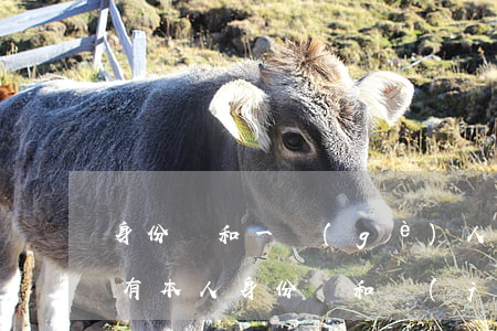 身份證和一個(gè)人可以辦離婚證嗎(只有本人身份證和結(jié)婚證可以協(xié)議離婚嗎?)