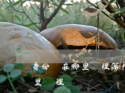 身份證在哪里辦理(深圳辦理異地身份證在哪里辦理)