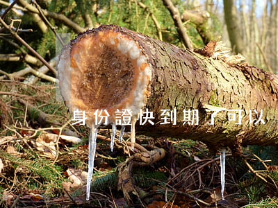 身份證快到期了可以異地辦理嗎