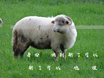 身份證快到期了可以異地辦理嗎(身份證快到期了可以異地辦理嗎深圳)