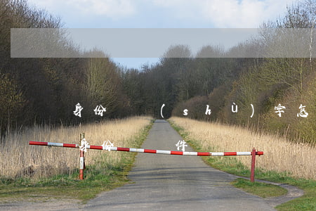 身份證數(shù)字怎么p手機(jī)(身份證軟件)