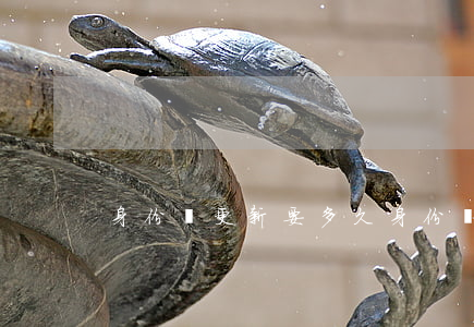 身份證更新要多久(身份證更新要多久拿到)