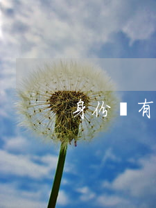 身份證有效期(身份證有效期在線查詢)