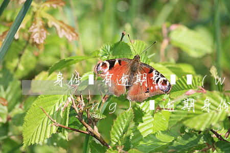 身份證有逾期影響網(wǎng)貸嗎(網(wǎng)貸逾期身份證會被拉黑嗎)