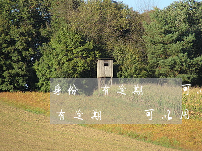 身份證有逾期記錄可以用來抵稅嗎-身份證有逾期記錄可以用來抵稅嗎